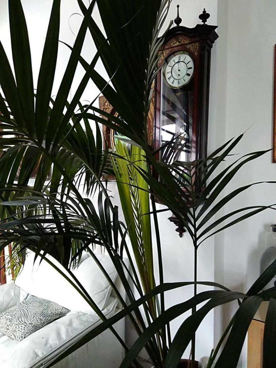 Il Camaleonte Villa Bracciano  Eksteriør bilde